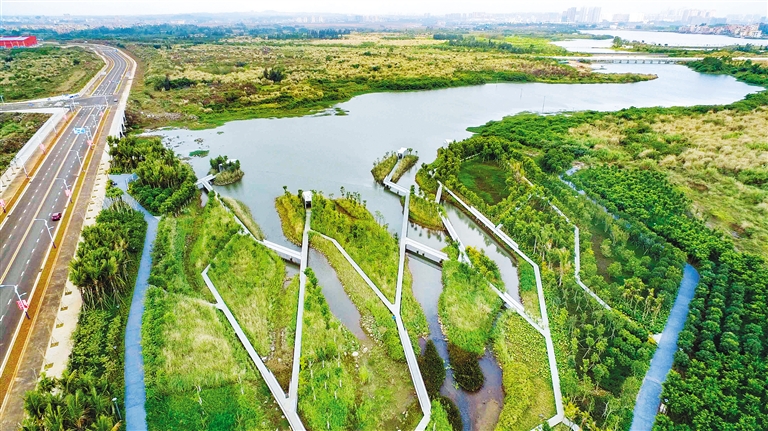 海南日报美安湿地海绵化改造美如画2.jpg